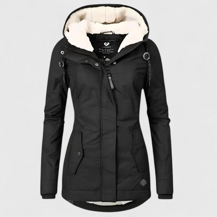 Sophisticated Coat